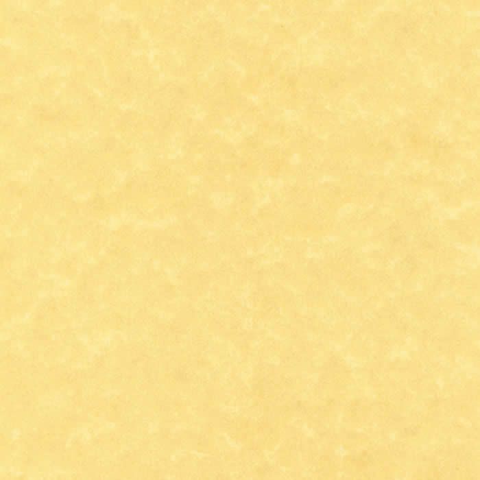 Papel apli textura pergamino dorado 25 hojas a4 95 grs. (scl2059)