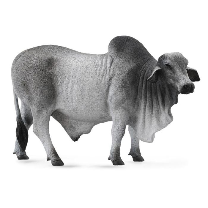Collecta 88579 Toro Brahman L figura de animal de granja, réplica a escala pintada a mano, modelada con detalle, alta calidad, +3 años Collecta 88579 Toro Brahman L figura de animal de granja, réplica a escala pintada a mano, modelada con detalle, alta calidad, +3 años