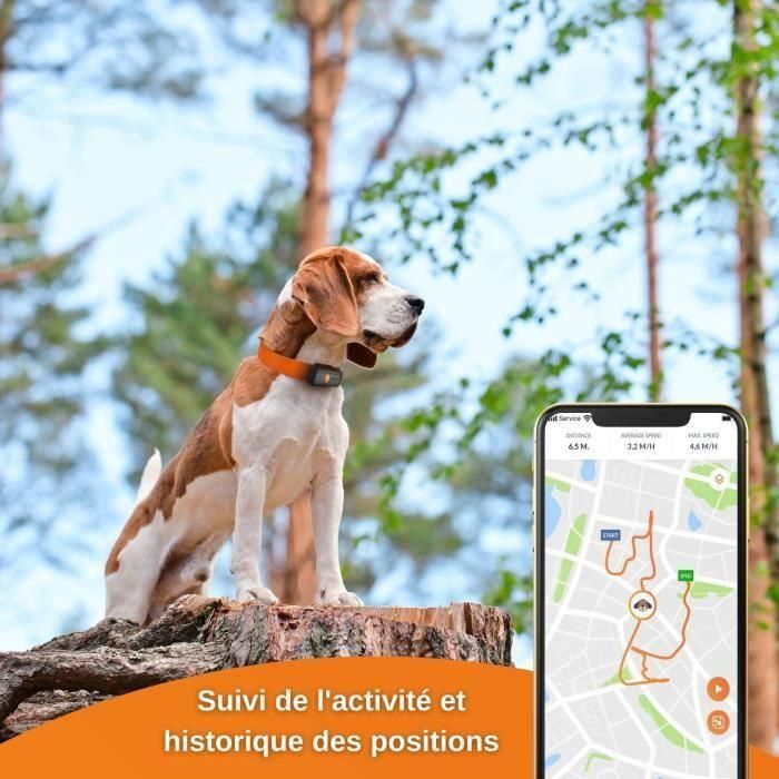 GPS Tracker for Dogs - Weenect XS (Black Edition 2023) 3