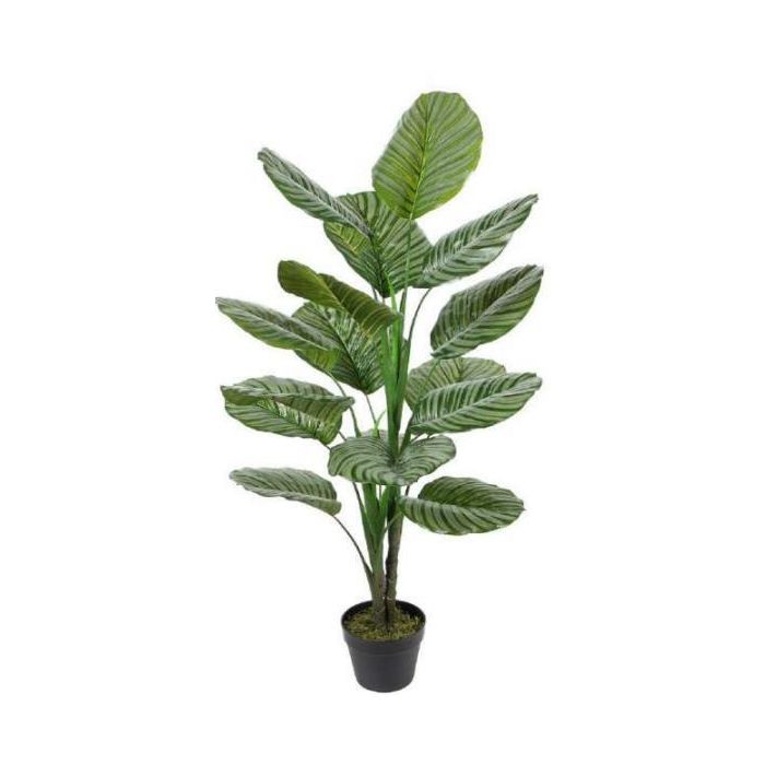Planta Tropical DKD Home Decor Verde 80 x 120 x 80 cm (2 Unidades) Planta Tropical DKD Home Decor Verde 80 x 120 x 80 cm (2 Unidades)