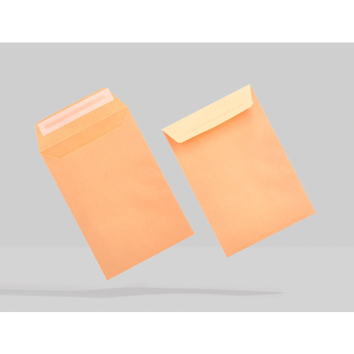 Liderpapel Bolsa N.0 Cel Caña Sobres Salarios 100x145mm Tira Silicona Caja 1000 Unidades 10