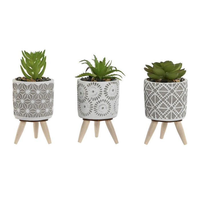 DKD Home Decor Planta Artificial Decorativa Gris Verde de Cemento y PE - Pack de 3 Unidades Surtidas - 11 cm de Alto DKD Home Decor Planta Artificial Decorativa Gris Verde de Cemento y PE - Pack de 3 Unidades Surtidas - 11 cm de Alto