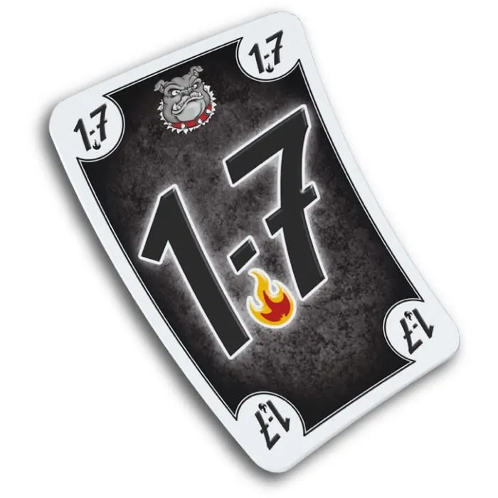 Schmidt Spiele SCH4001504493233 Black Dog 5