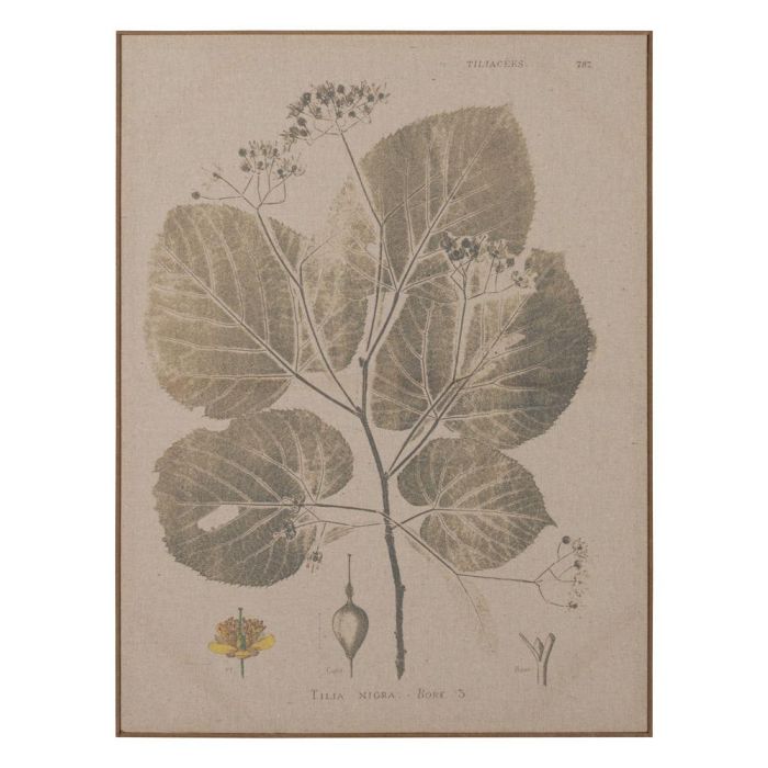 Cuadro Impresión Hojas 2/M Dm-Madera 60 X 3 X 80 cm