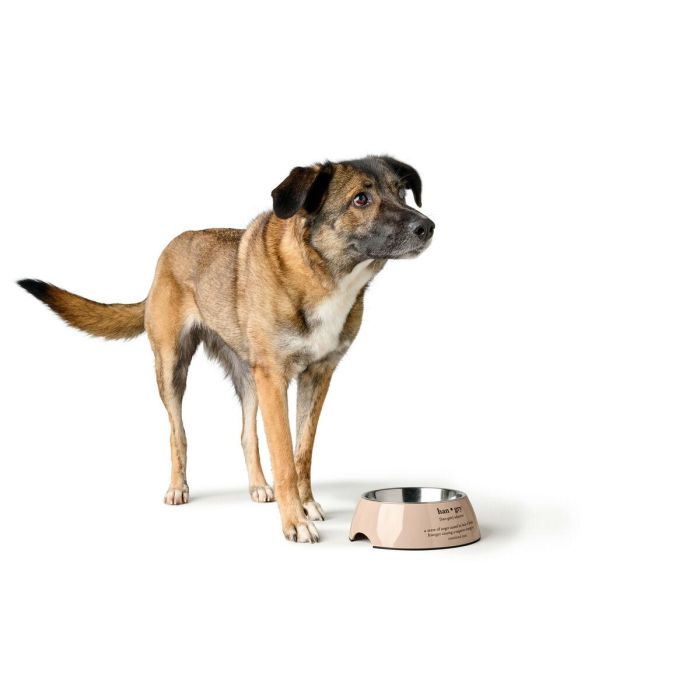 Comedero para Perro Hunter LUTON 350 ml 3 Comedero para Perro Hunter LUTON 350 ml 3