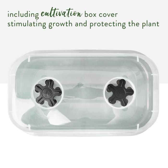Elho ELH8711904515881 Bandeja de Cultivo Green Basics Allin1 L, Negro, 39x23x15 cm, para cultivo y cosecha, 100% reciclada 3 Elho ELH8711904515881 Bandeja de Cultivo Green Basics Allin1 L, Negro, 39x23x15 cm, para cultivo y cosecha, 100% reciclada 3