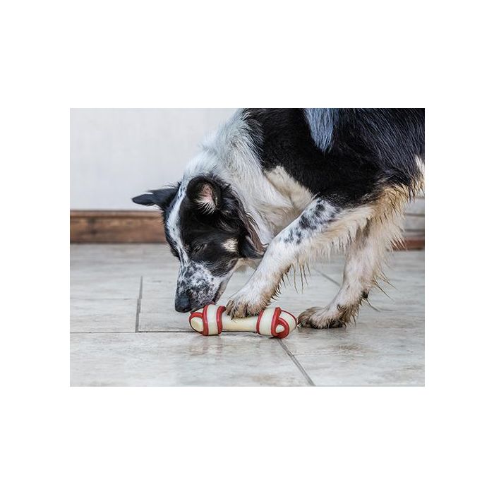 Nylabone Rawhide Knot Bone Beef L 2 Nylabone Rawhide Knot Bone Beef L 2