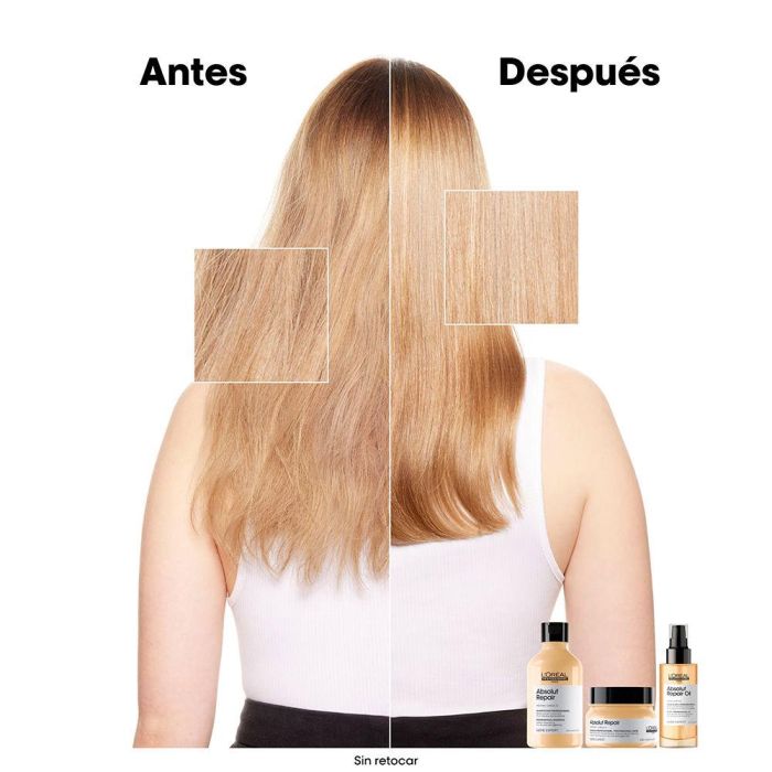 L'Oreal Champú Absolut Repair Gold Reparador Cabello Dañado Fortalecedor con Proteína de Quínoa Dorada 300ml Nuevo Formato