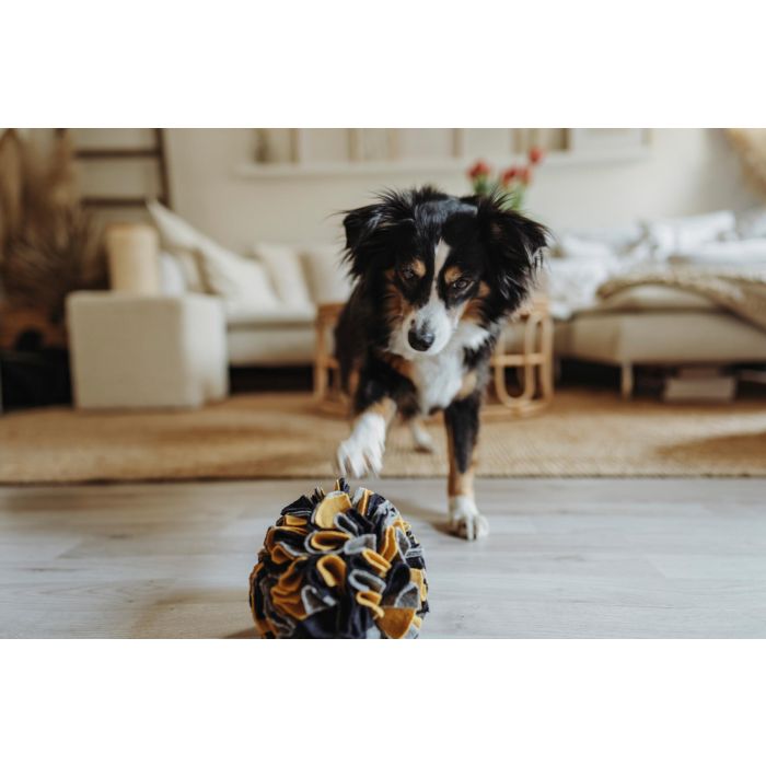 Hunter Juguete Olfativo Eiby Bola para Perros 5 cm | Pelota Suave de Lana y Poliéster Reciclado | Sostenible y Lavable 1 Hunter Juguete Olfativo Eiby Bola para Perros 5 cm | Pelota Suave de Lana y Poliéster Reciclado | Sostenible y Lavable 1
