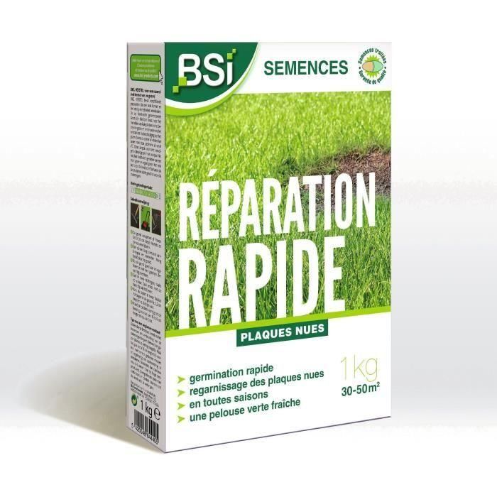 BSI - Semillas de Hierba - Reparación Rápida - Con Recubrimiento Protector - Alta calidad - hasta 50m² - 1Kg