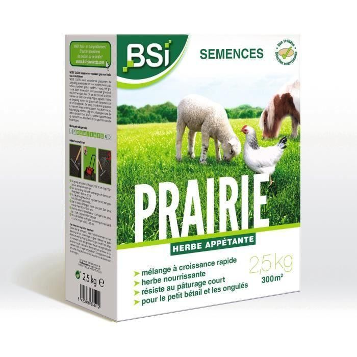 BSI - Semillas de Hierba - Pradera - Alta calidad - Gran Superficie - Hasta 375m² - 7,5Kg