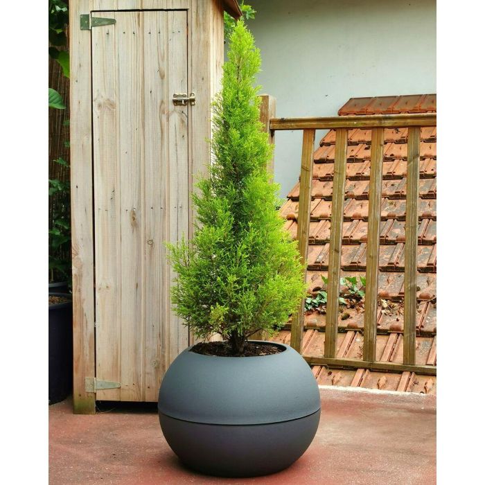Riviera D40 Maceta Bola de Granito Diámetro 40 cm Gris 1 Riviera D40 Maceta Bola de Granito Diámetro 40 cm Gris 1