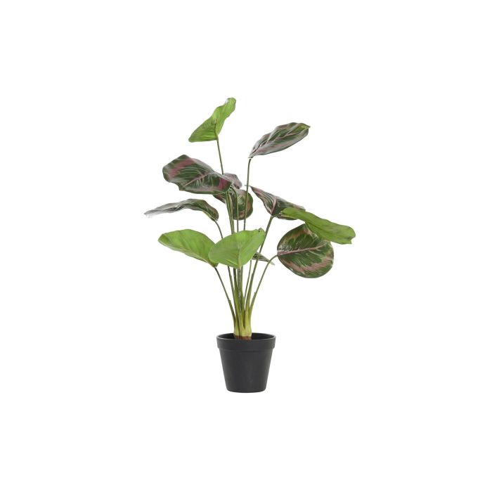 Planta DKD Home Decor Verde Rosa 30 x 58 x 30 cm (6 Unidades)