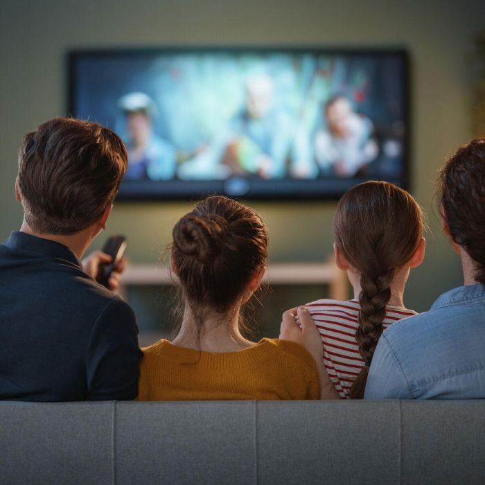 Soporte TV TM Electron 60"-120" 120 kg 1