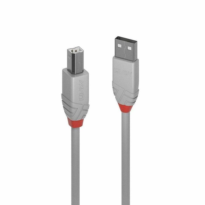 Lindy Anthra Line Cable USB 2.0 Tipo A a B 3m Gris para AV/IT, Transferencia 480Mbps, Contactos Oro, Doble Apantallado