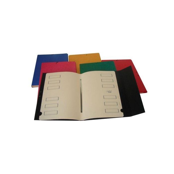 Carpeta Clasificadora Saro Carton Forr. Fº Prol.12 Dptos.Con Gomas Y Solapa 6 Col.Surt. (Set de 5)