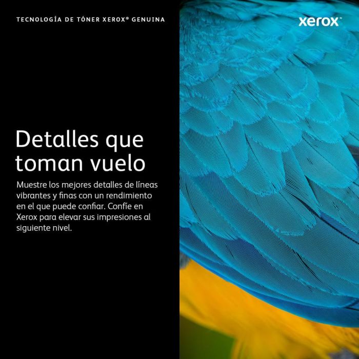 XEROX Toner B310 2 XEROX Toner B310 2