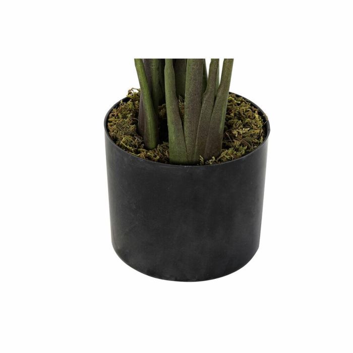 Planta Decorativa DKD Home Decor 50 x 50 x 160 cm Polietileno Verde Ave del paraíso Urbano 1 Planta Decorativa DKD Home Decor 50 x 50 x 160 cm Polietileno Verde Ave del paraíso Urbano 1