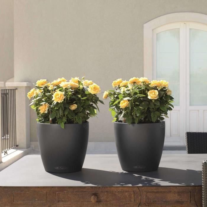 LECHUZA Jardiniere Classico Color 28 TODO EN UNO Pizarra 13204 3