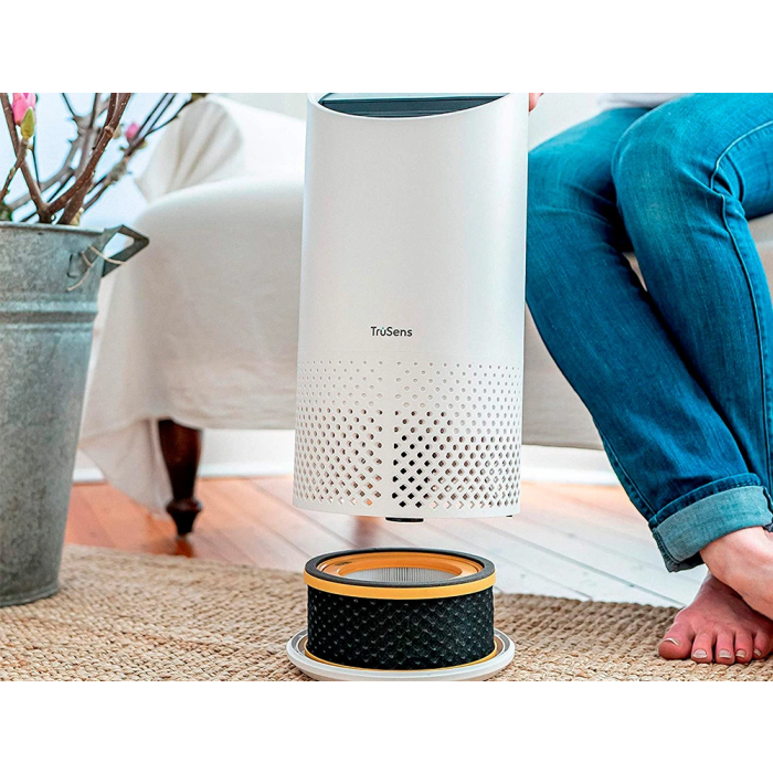 Filtro HEPA Leitz Z-1000 para Purificador de Aire Pequeño, Elimina Olores y Virus, 169x83 mm 1