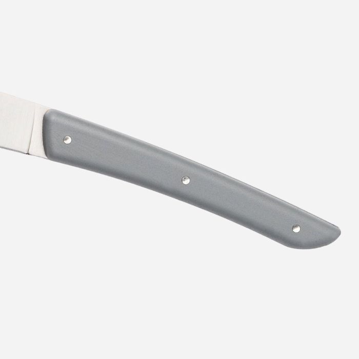 Berkel Steakmesser-Set 4-tlg. Color grigio 3
