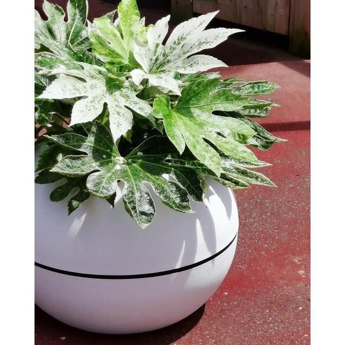 Riviera RIV3580798152022 Jardinera redonda Granit Boule, Plástico, Diámetro 50 cm, Blanco 2
