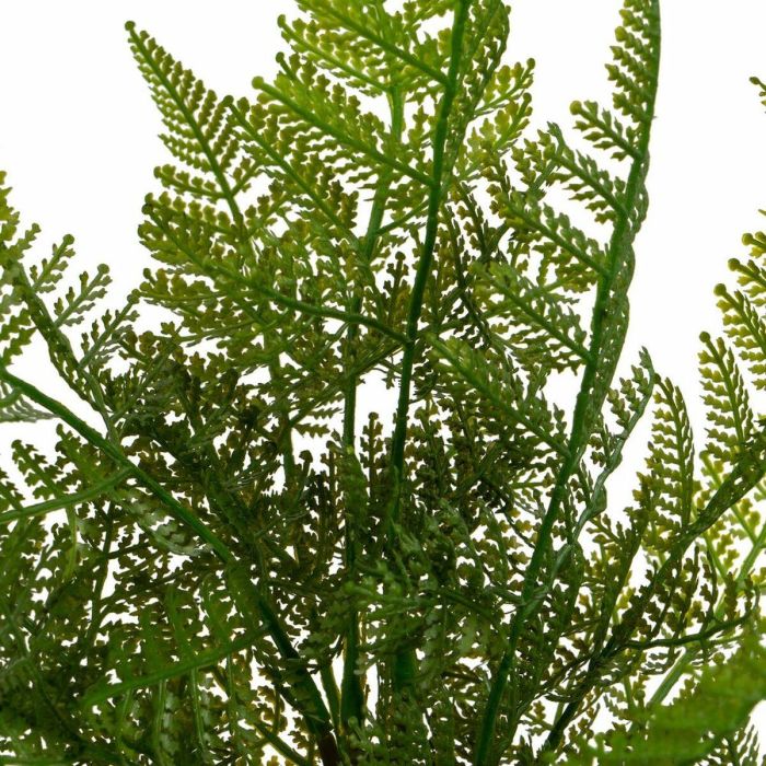 Planta Decorativa Polietileno Plástico Helecho 26 x 26 x 45 cm 2 Planta Decorativa Polietileno Plástico Helecho 26 x 26 x 45 cm 2