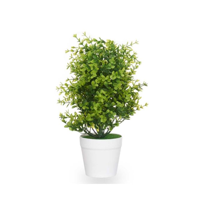 Planta Grande Verde Hojas Pequeñas Maceta Blanca Ibergarden 23x23x36cm (6 Unidades) 1 Planta Grande Verde Hojas Pequeñas Maceta Blanca Ibergarden 23x23x36cm (6 Unidades) 1