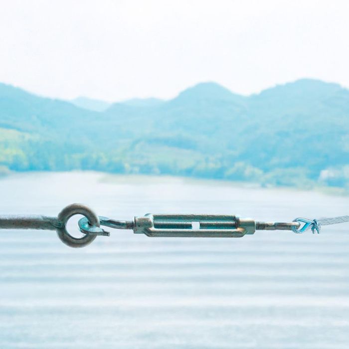 Edm Tensor Gancho-Anilla DIN-1480 TNS01 M12 Acero Galvanizado 3