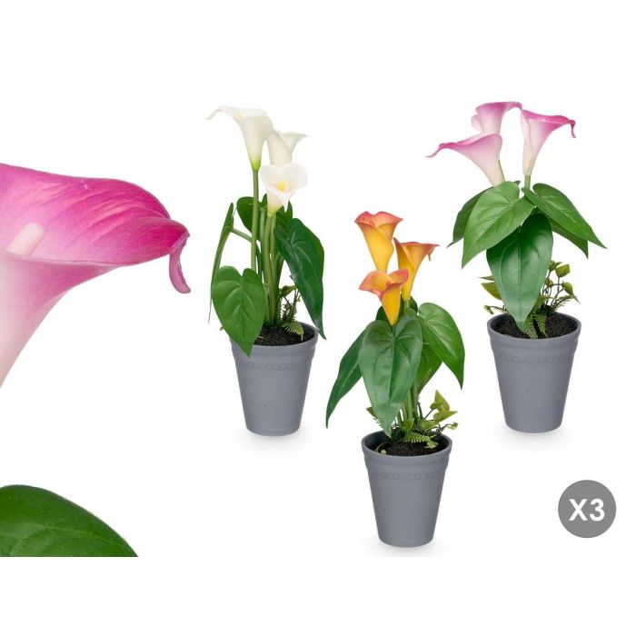 Ibergarden Maceta Cónica Gladiolos Surtidos 20 cm x 35 cm x 15 cm Plástico Cemento Amarillo Morado Rojo (Set de 12)