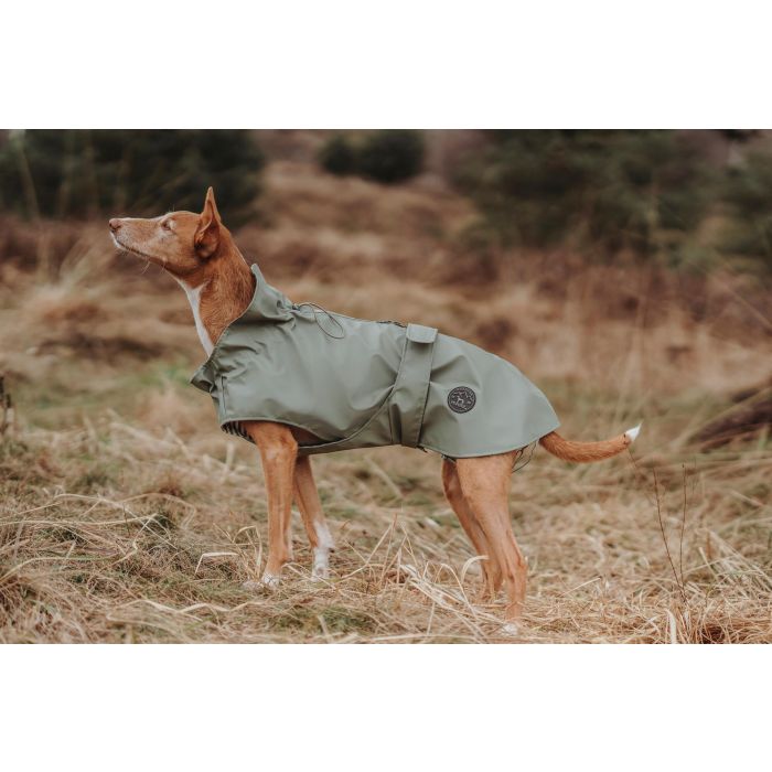 Hunter Abrigo para Perro Milford 30 cm Verde - Impermeable y Cortavientos, con Apertura para Arnés y Collar, Cuello 20-44 cm, Vientre 38-46 cm 0 Hunter Abrigo para Perro Milford 30 cm Verde - Impermeable y Cortavientos, con Apertura para Arnés y Collar, Cuello 20-44 cm, Vientre 38-46 cm 0