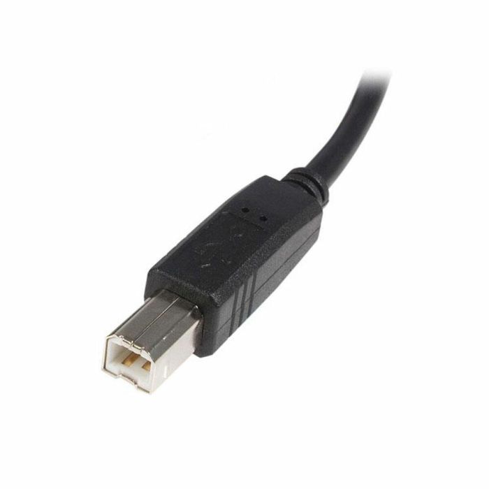 Cable USB A a USB B Startech USB2HAB2M Negro 2