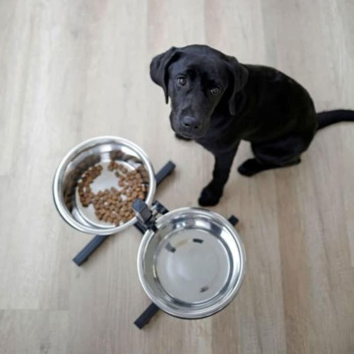 Kerbl Barra de comida elevada para perros con 2 cuencos de acero inoxidable de 2800 ml y base de PVC de 43 cm de altura Kerbl Barra de comida elevada para perros con 2 cuencos de acero inoxidable de 2800 ml y base de PVC de 43 cm de altura