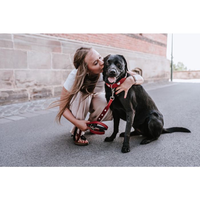Hunter Correa Ajustable Love para Perro de Cuero de Vaca, 200 cm Largo x 1.3 cm Ancho, Rojo-Negro. Con Forro Napa, Artesanal. 3 Hunter Correa Ajustable Love para Perro de Cuero de Vaca, 200 cm Largo x 1.3 cm Ancho, Rojo-Negro. Con Forro Napa, Artesanal. 3