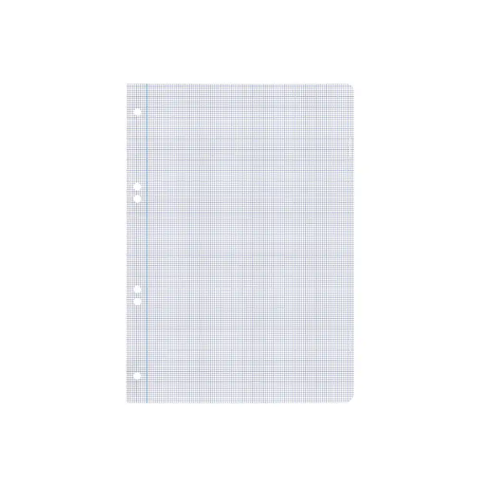 Liderpapel Recambio A5 100 Hojas 75gr Milimetrado Sin Margen 6 Taladros 5