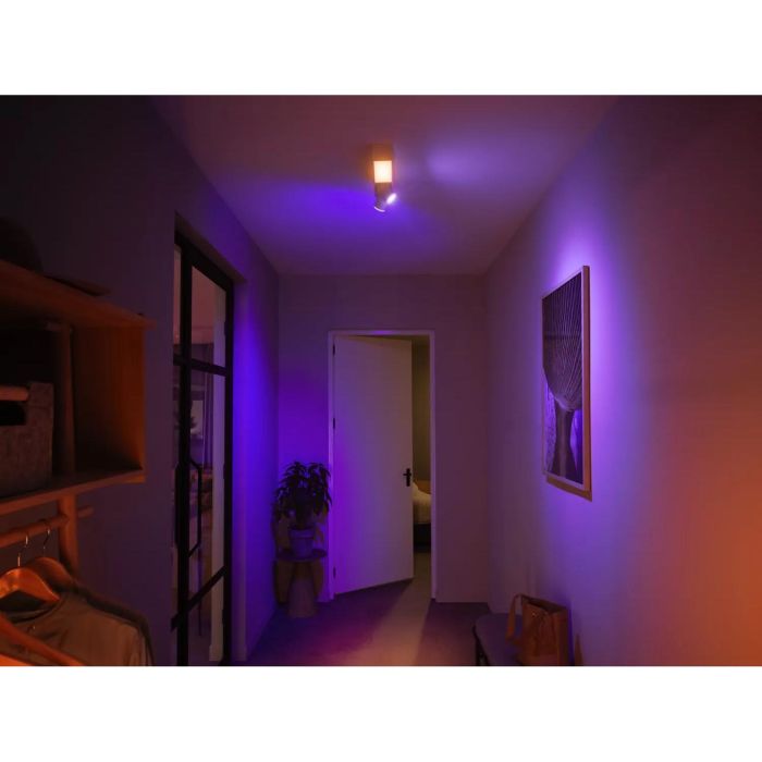 Philips Hue White & Col. Amb. Centris Spot 2 flg. weiß V2 3