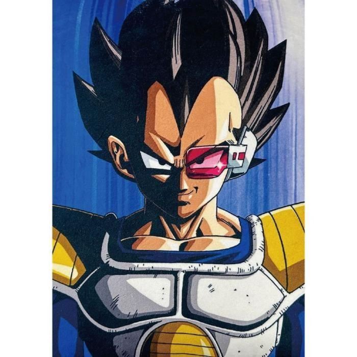Dragon Ball Z AAAWI32489 - Cojín Doble Cara Cuadrado de Microfibra - Goku y Vegeta - 40 x 40 cm 1