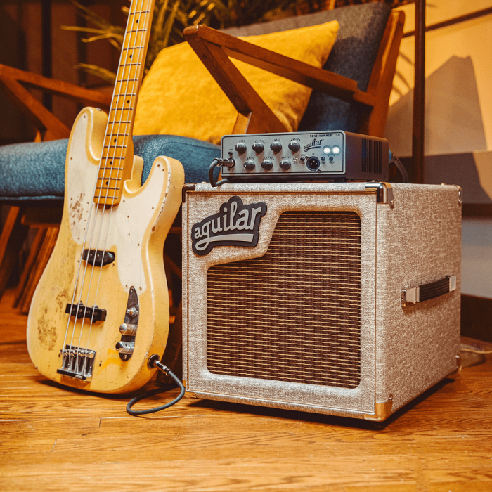 Pantalla Bajo Aguilar Sl Series 1X10" 150W (8?) - Fawn 1