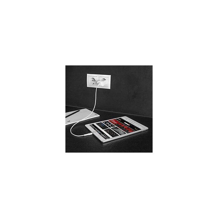 Lindy 18W USB Type A Charger 4 Lindy 18W USB Type A Charger 4