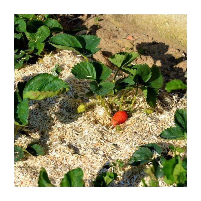 Pañuelo de cáñamo NATUREN - 100L 3 Pañuelo de cáñamo NATUREN - 100L 3