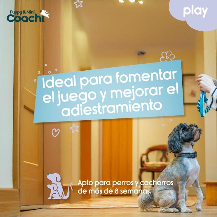 Arnés para Perro Coachi 3