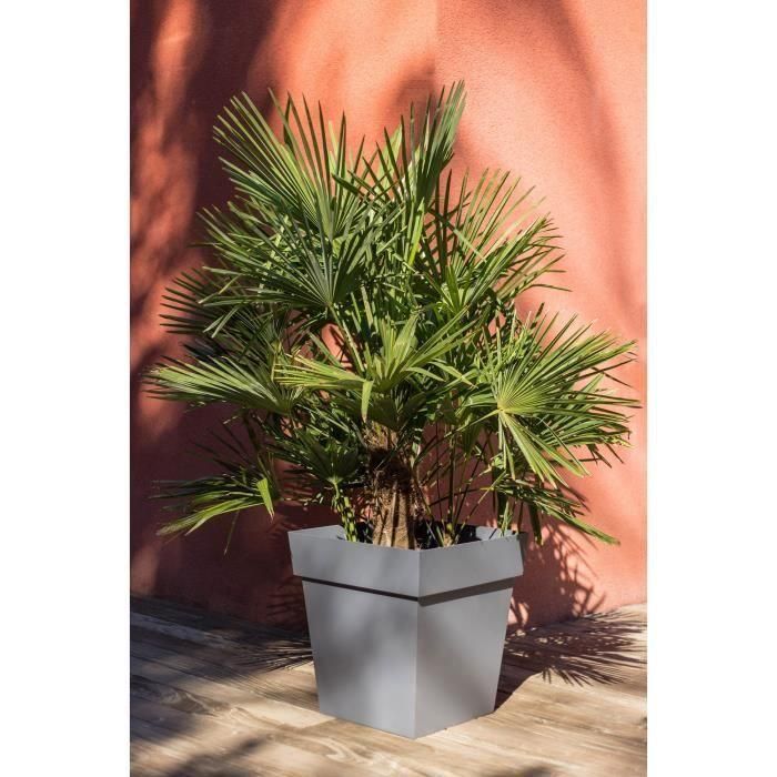 Maceta cuadrada Toscana EDA - 50 cm - 87 L - Gris antracita 1