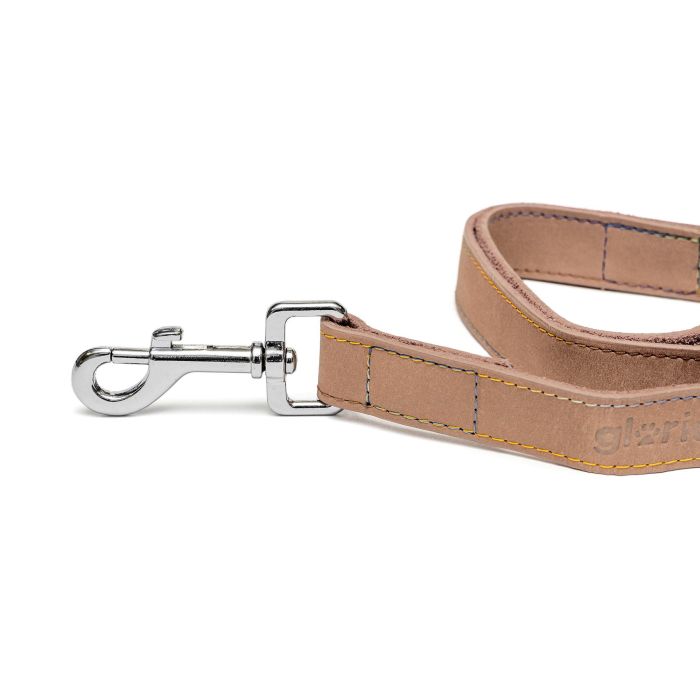 Gloria Correa para Perro Oasis de Cuero Reforzada con Mosquetón 60 cm x 30 mm Blanco 0 Gloria Correa para Perro Oasis de Cuero Reforzada con Mosquetón 60 cm x 30 mm Blanco 0