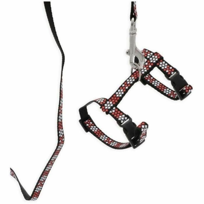 Collar para Perro Aimé 2 Collar para Perro Aimé 2