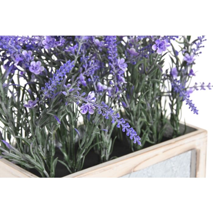 Planta Shabby DKD Home Decor Lila 15 x 35 x 33 cm (2 Unidades) 1 Planta Shabby DKD Home Decor Lila 15 x 35 x 33 cm (2 Unidades) 1