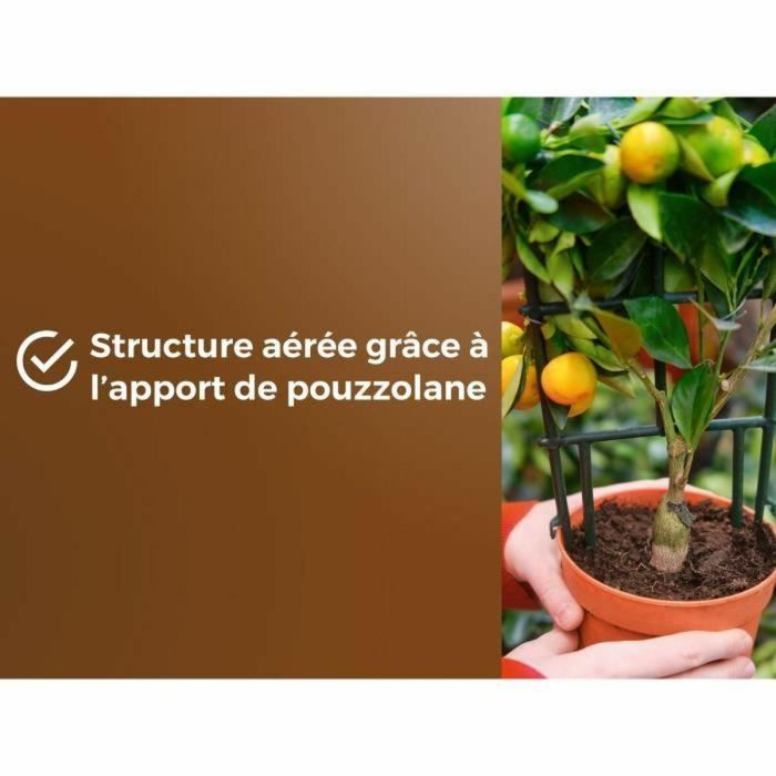 Tierra para macetas OR BRUN 6 L Cítricos 3 Tierra para macetas OR BRUN 6 L Cítricos 3