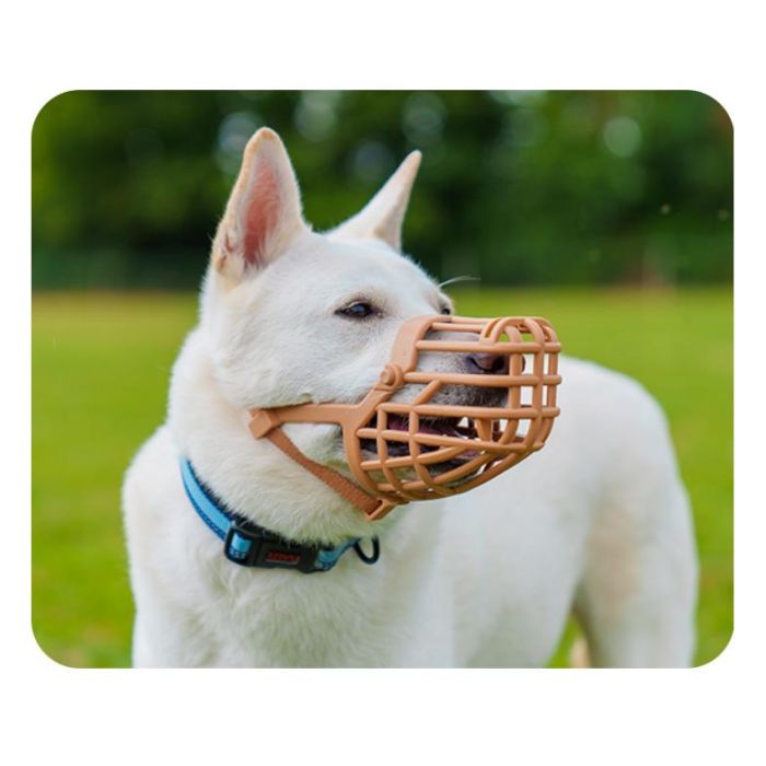 Baskerville Bozal Classic Basket Talla 7 para Perro, Protección Antidigestión y Heridas, Permite Jadear, Cómodo Acolchado TPR, Marrón 3 Baskerville Bozal Classic Basket Talla 7 para Perro, Protección Antidigestión y Heridas, Permite Jadear, Cómodo Acolchado TPR, Marrón 3