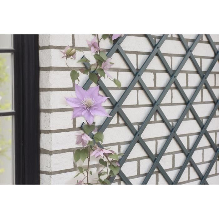 Nature NAT8711338407134 Enrejado Extensible Plástico Antracita 50 x 150 cm Nature NAT8711338407134 Enrejado Extensible Plástico Antracita 50 x 150 cm