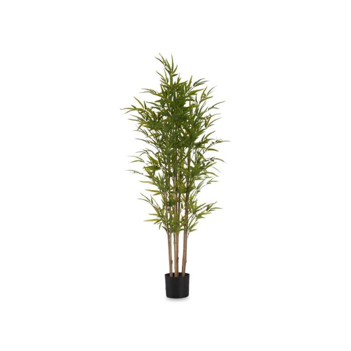 Planta con Maceta de Bambú Mediano 150 cm - Ibergarden 1 Planta con Maceta de Bambú Mediano 150 cm - Ibergarden 1