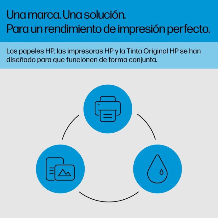 Cartucho de Tinta Original HP 4S6W9NE Negro (1 unidad) 4